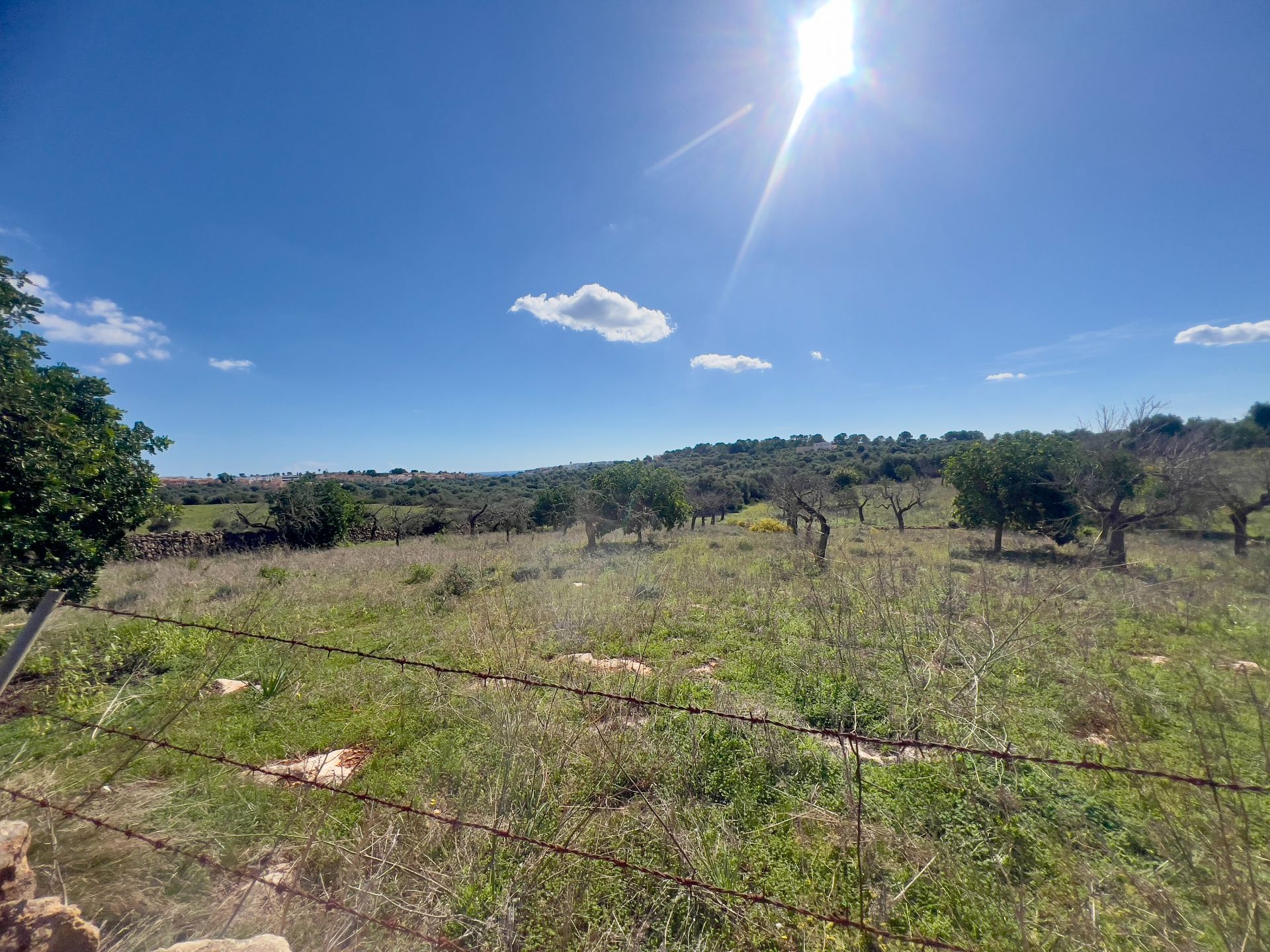 Terreno en venta en Manacor