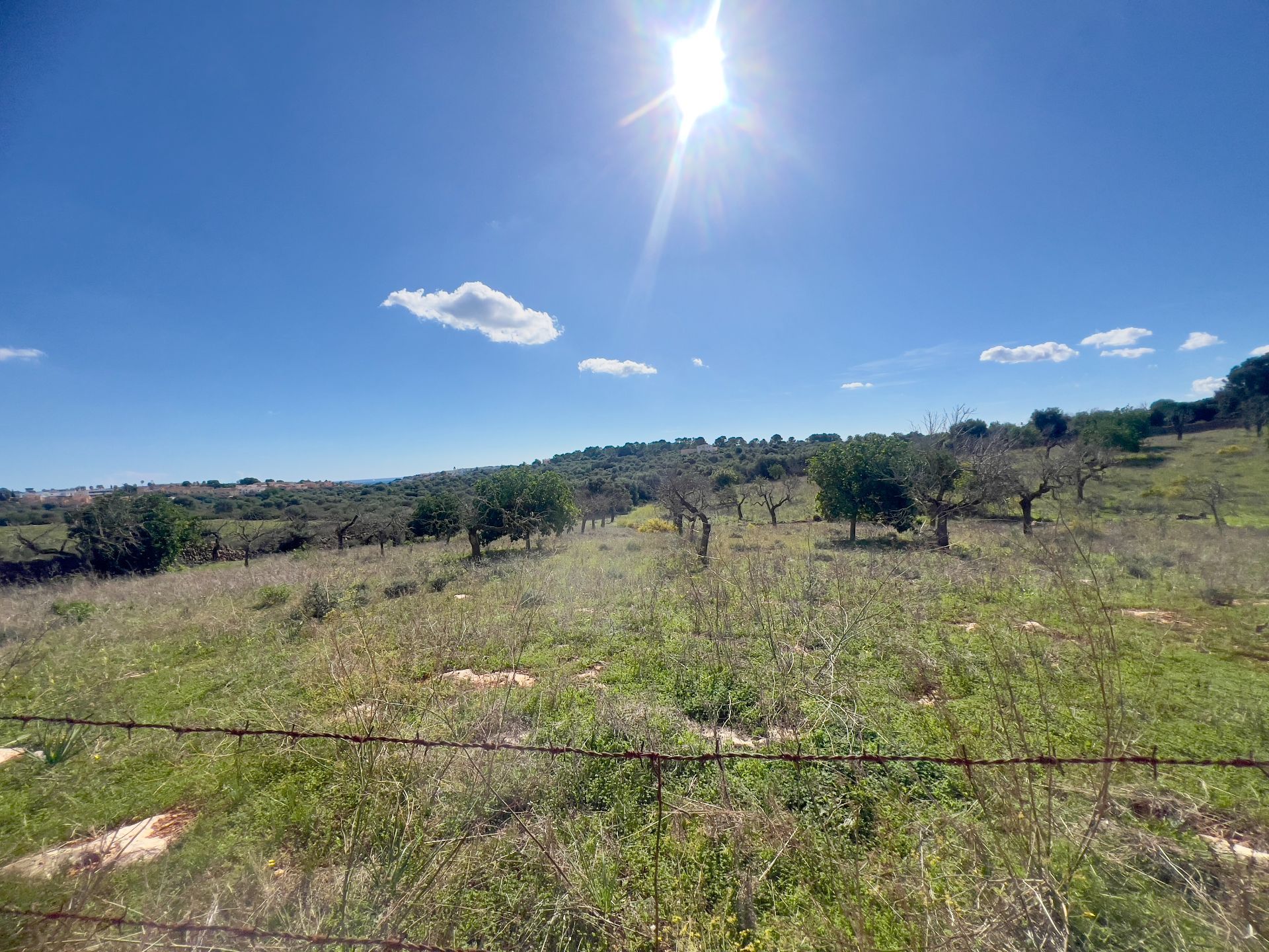 Terreno en venta en Manacor