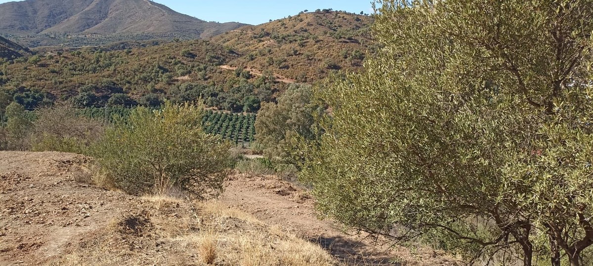 Finca en venta en Campo Mijas