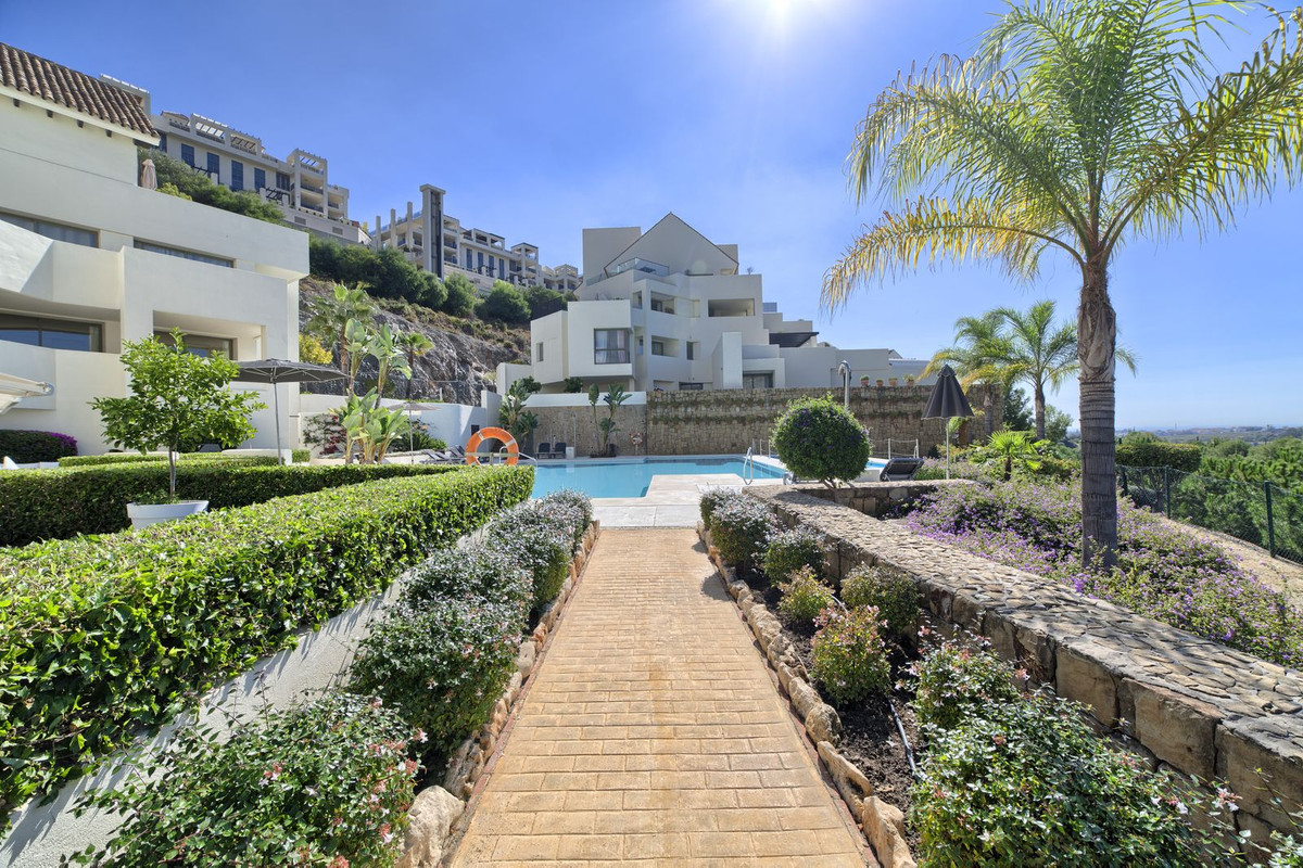 Los Flamingos, Benahavis