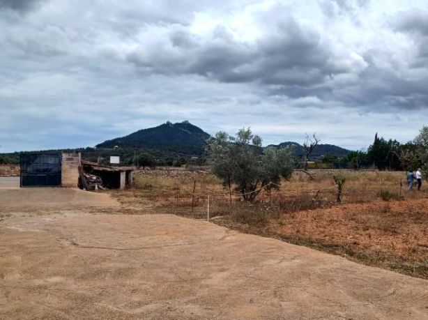 Finca de 3 Dormitorios en venta en Felanitx