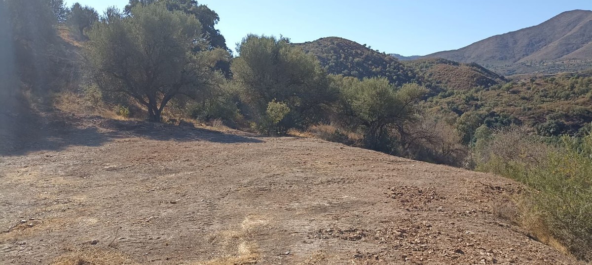 Finca en venta en Campo Mijas