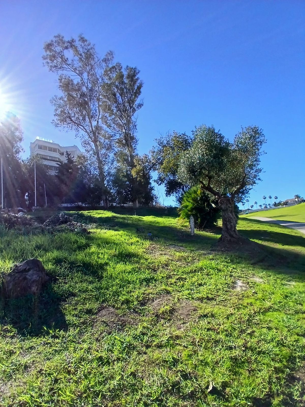 Terreno en venta en Guadalmina Alta, San Pedro de Alcántara