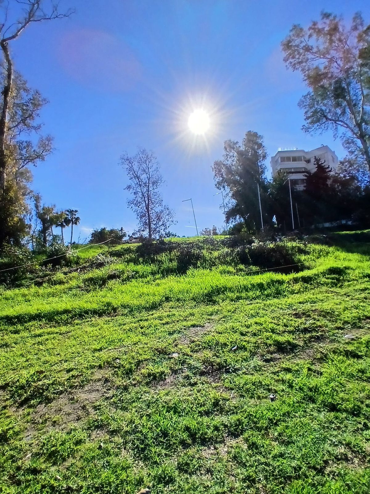 Terreno en venta en Guadalmina Alta, San Pedro de Alcántara