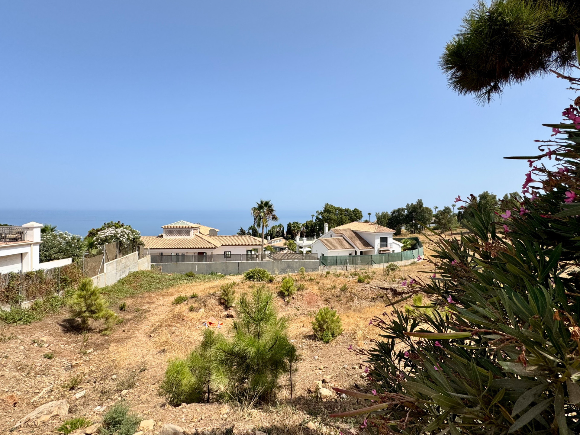 La Duquesa