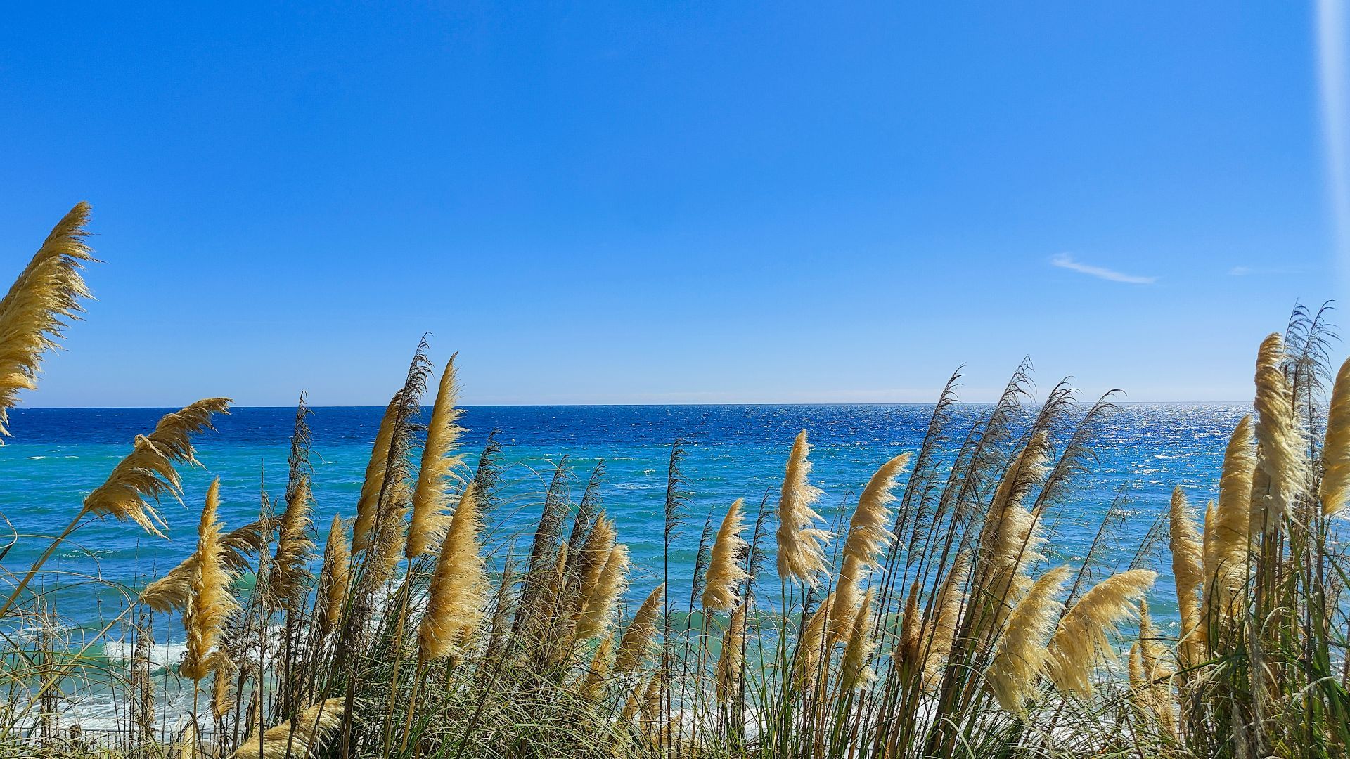 Marbella Golden Mile
