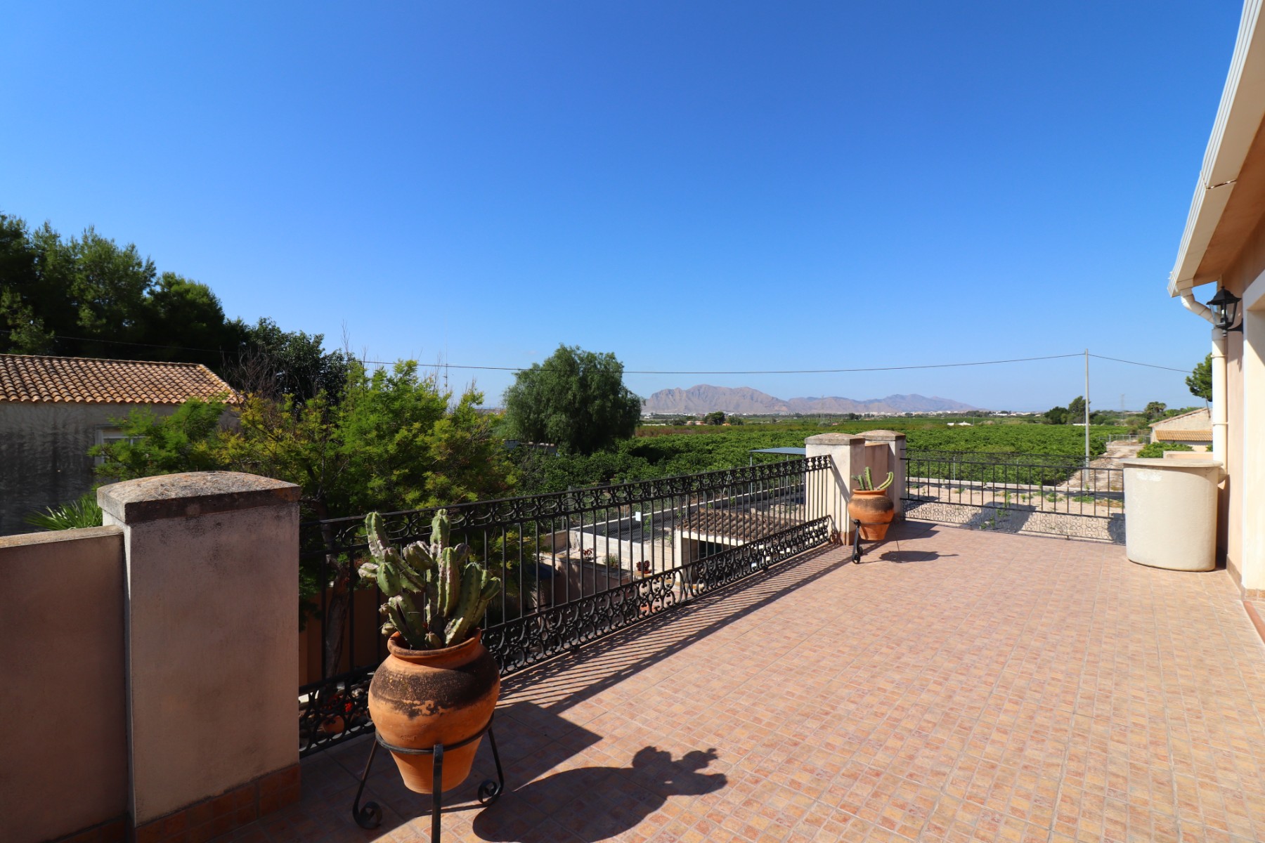 Finca de 4 Dormitorios en venta en Albatera