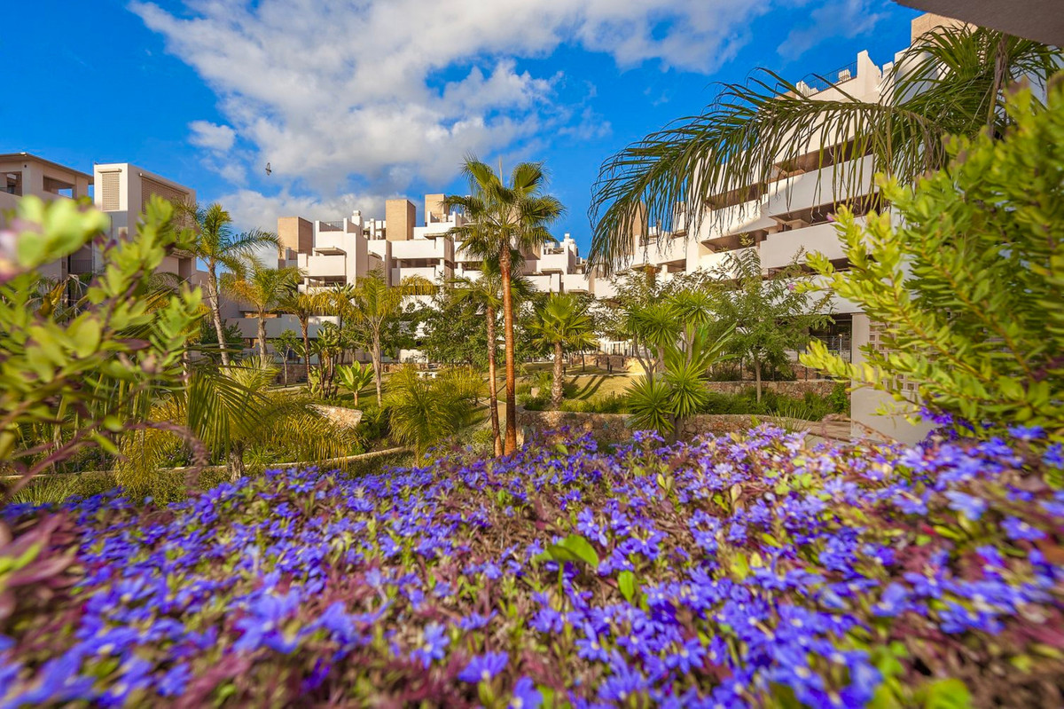 Estepona