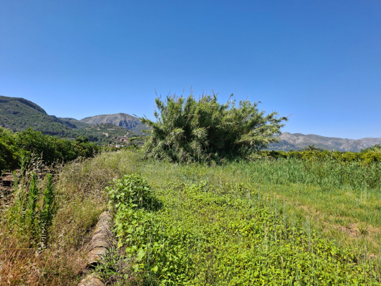 Terreno en venta en Pego