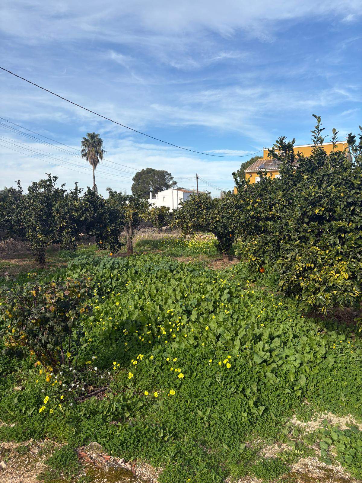 Terreno en venta en La Xara, Dénia