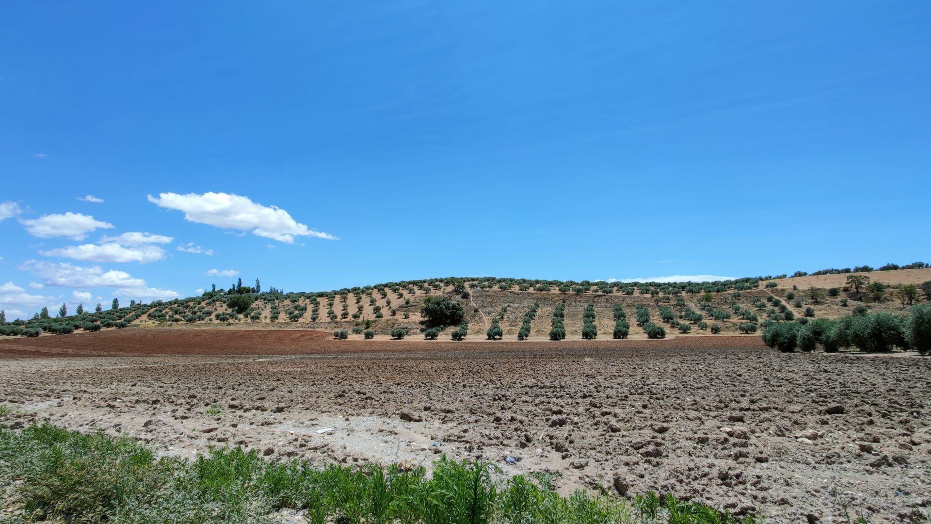 Terreno en venta en Illora