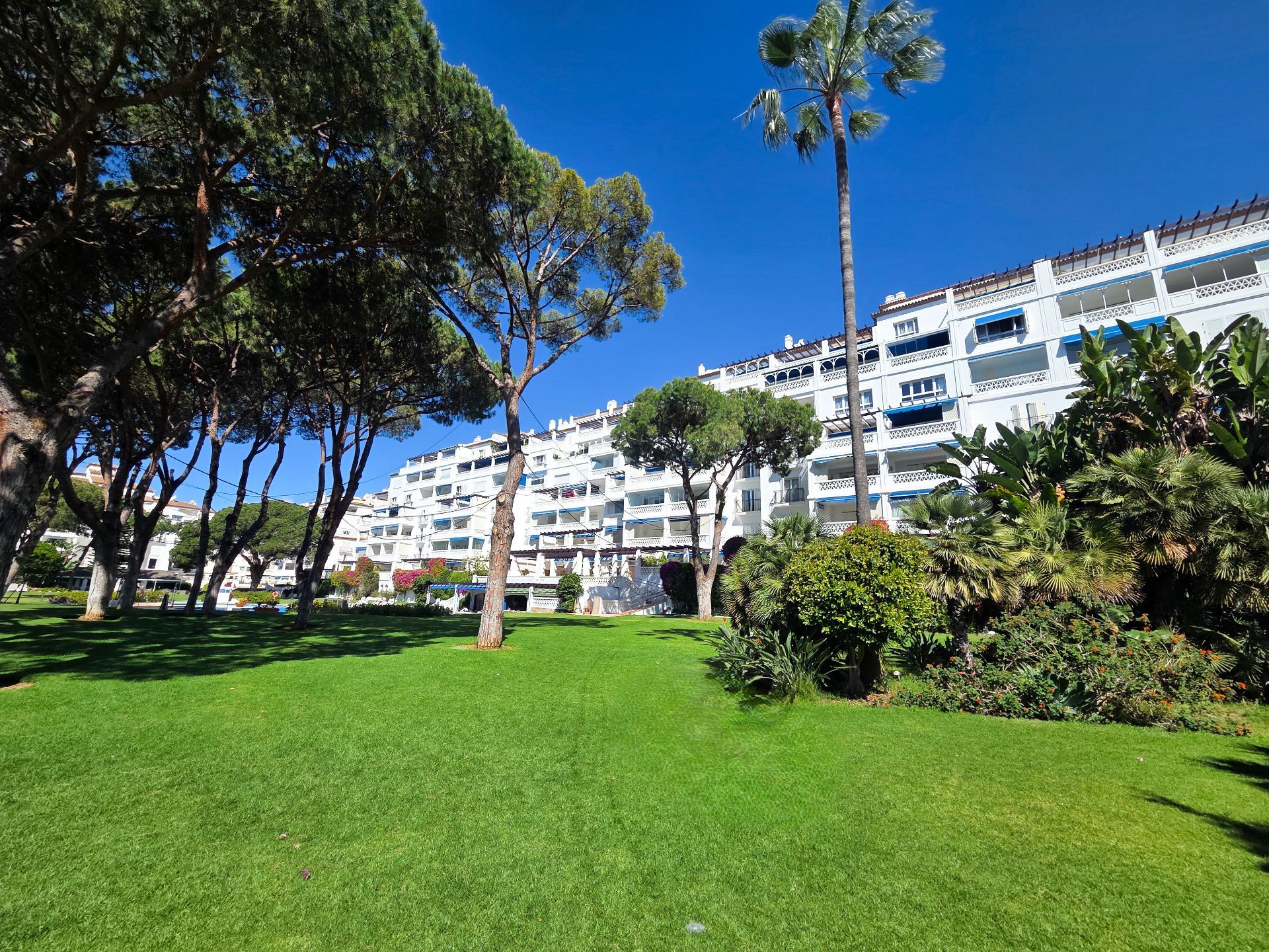 Nueva Andalucia, Marbella
