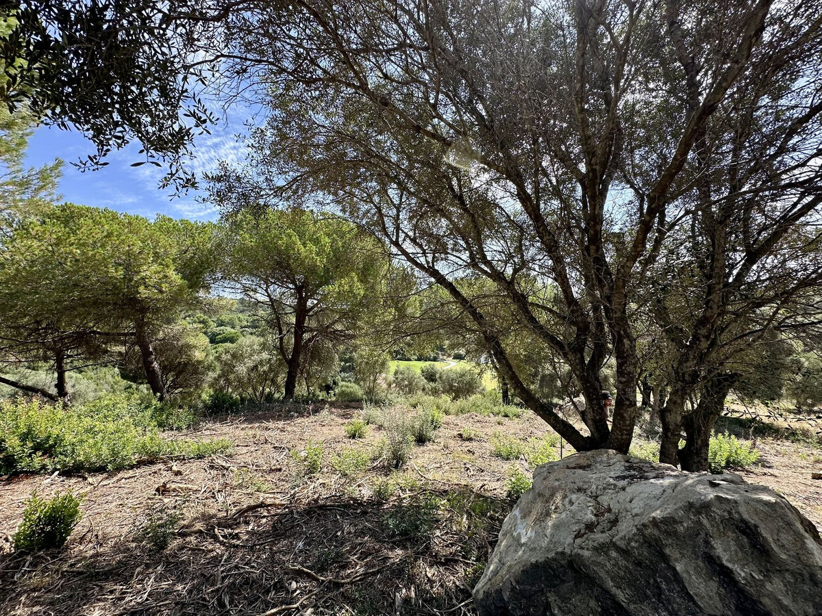 Terreno en venta en Sotogrande