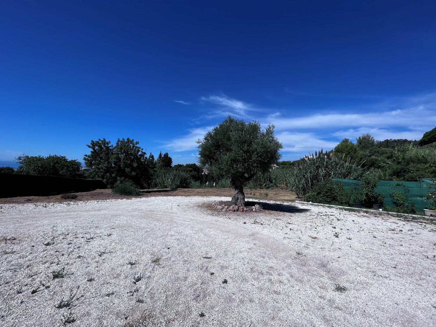 Terreno en venta en Milla de Oro, Marbella
