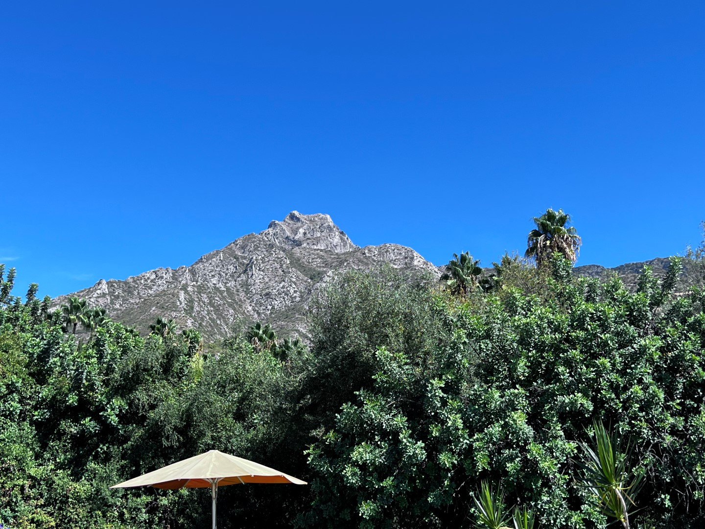 Terreno en venta en Milla de Oro, Marbella