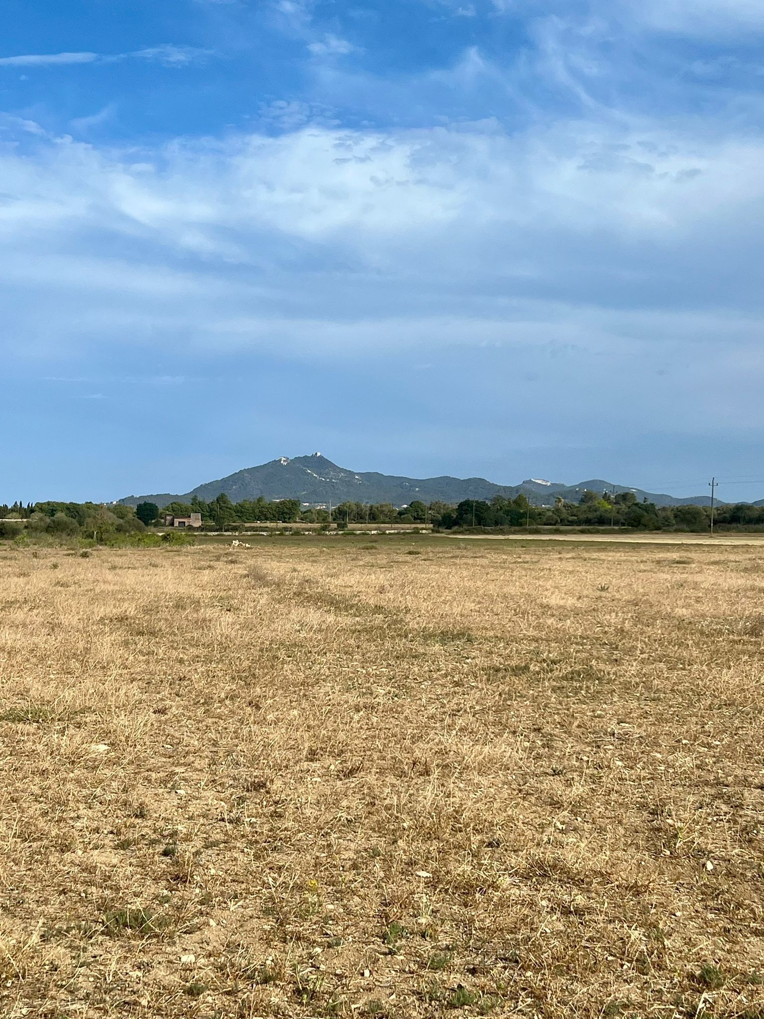 Terreno en venta en Felanitx