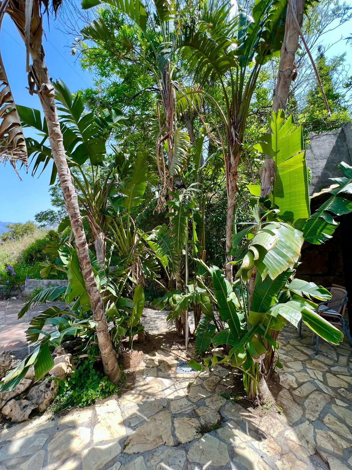 Finca de 11 Dormitorios y 8 Baños en venta en Mijas