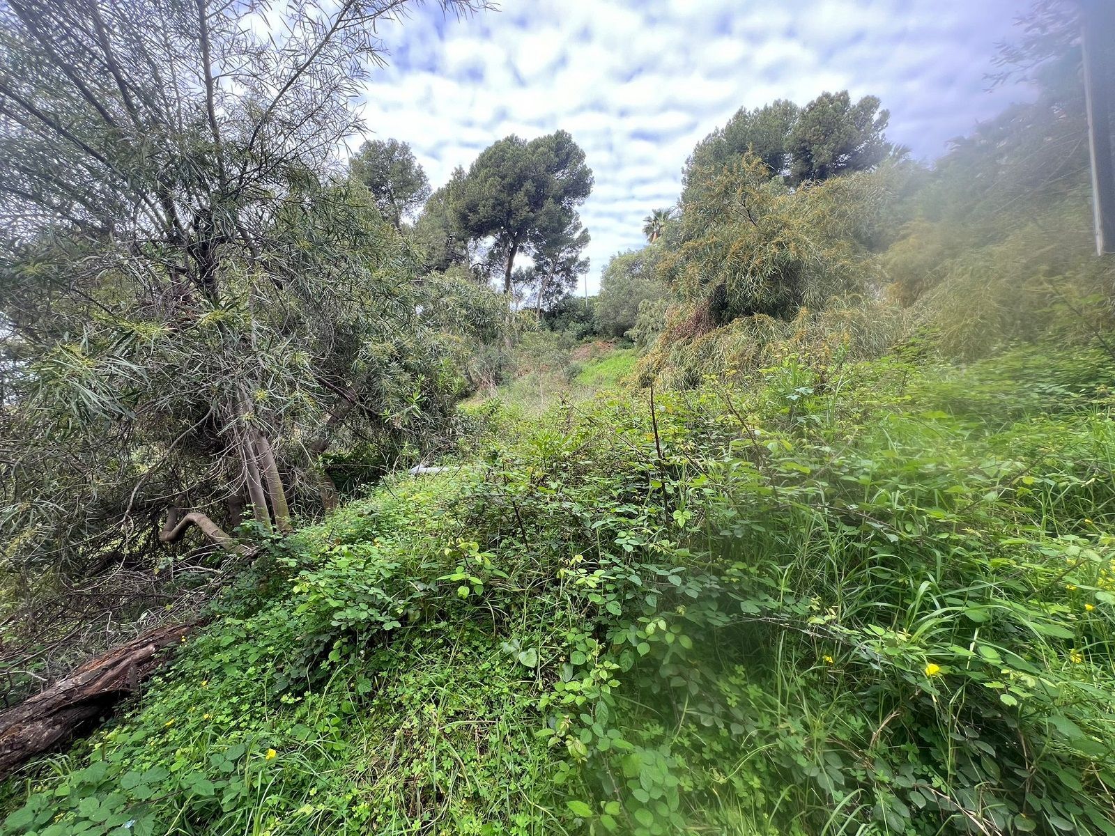 Terreno en venta en Marbella Centro