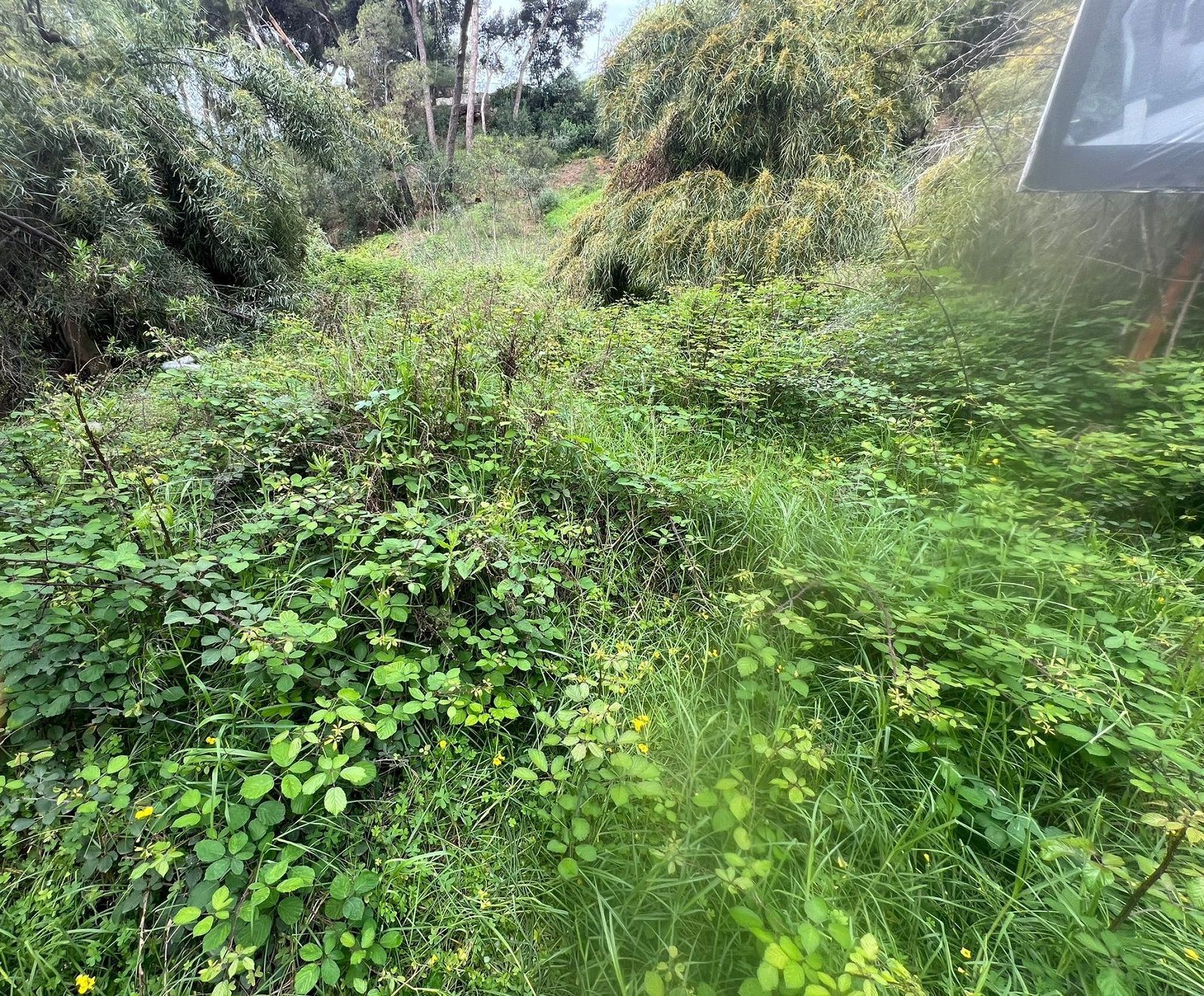 Terreno en venta en Marbella Centro