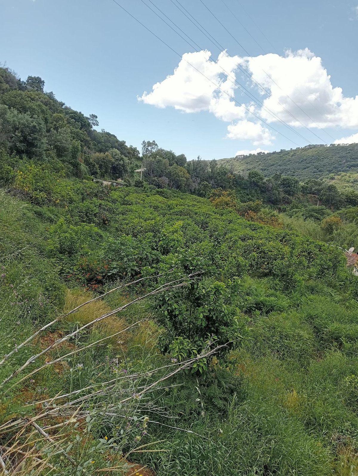 Terreno en venta en Estepona