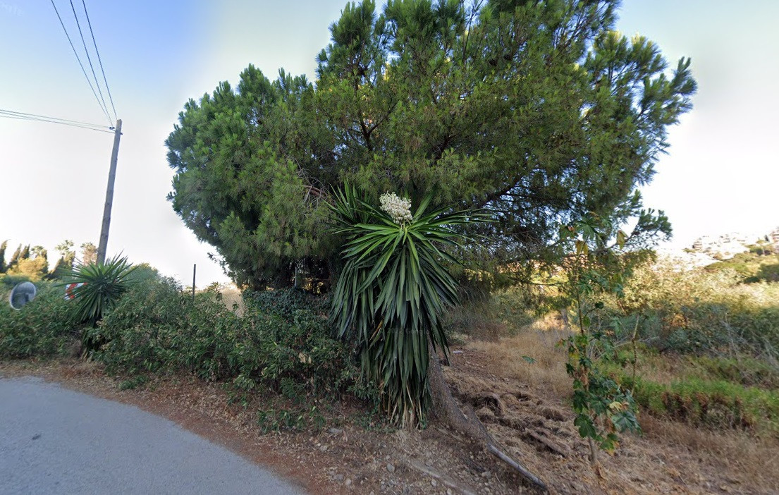 Terreno en venta en Elviria, Marbella