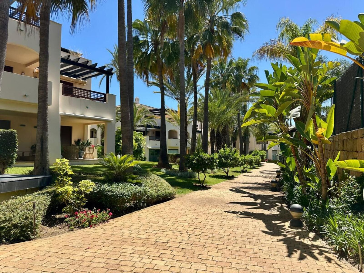 Nueva Andalucia, Marbella