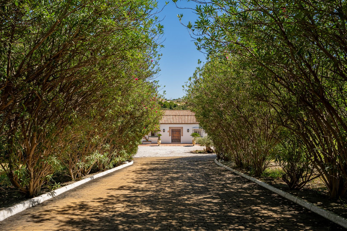 Finca de 8 Dormitorios en venta en Cancelada, Estepona