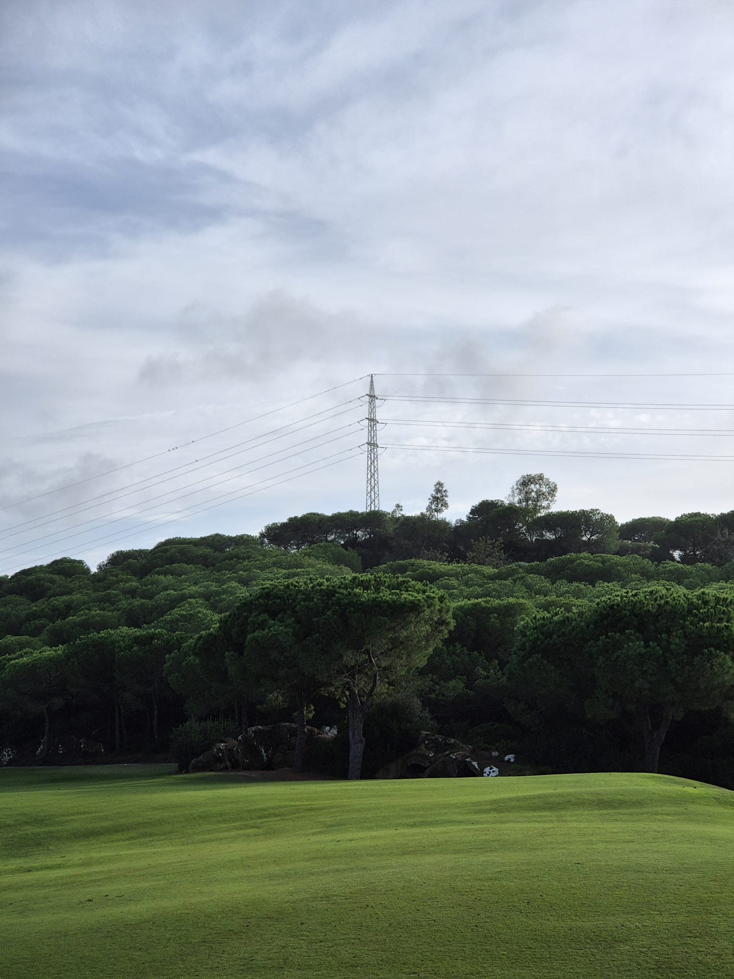 Terreno en venta en Sotogrande