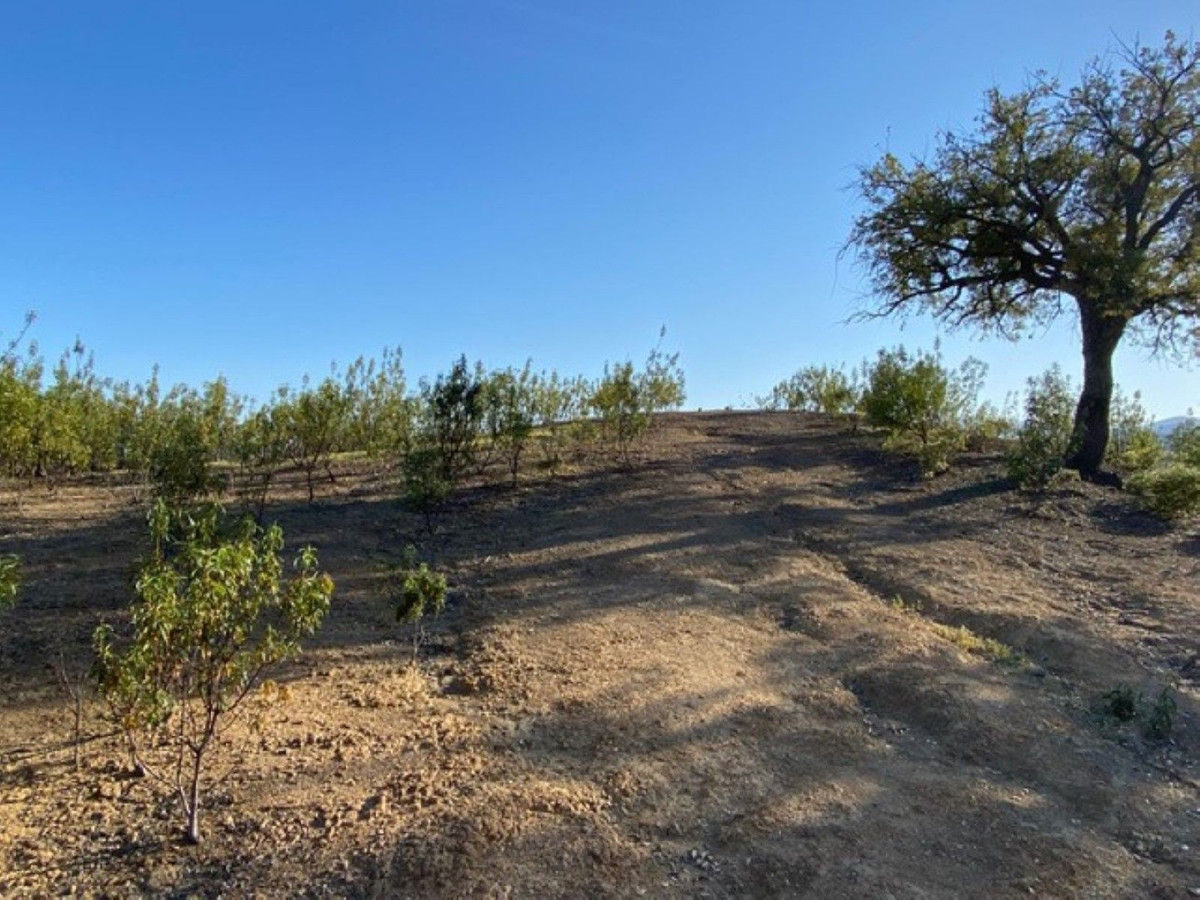Terreno en venta en La Zagaleta, Benahavís