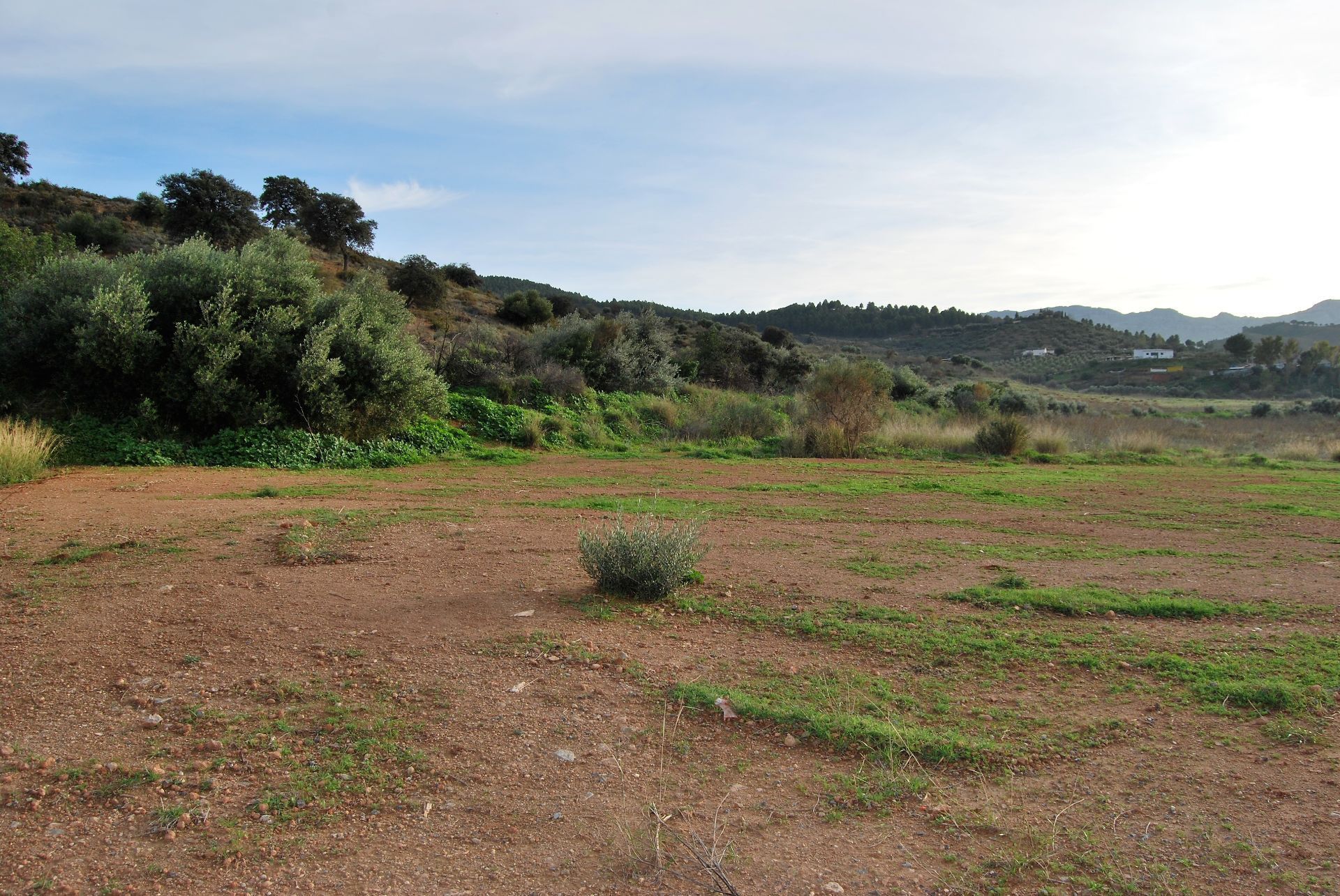 Terreno en venta en Antequera