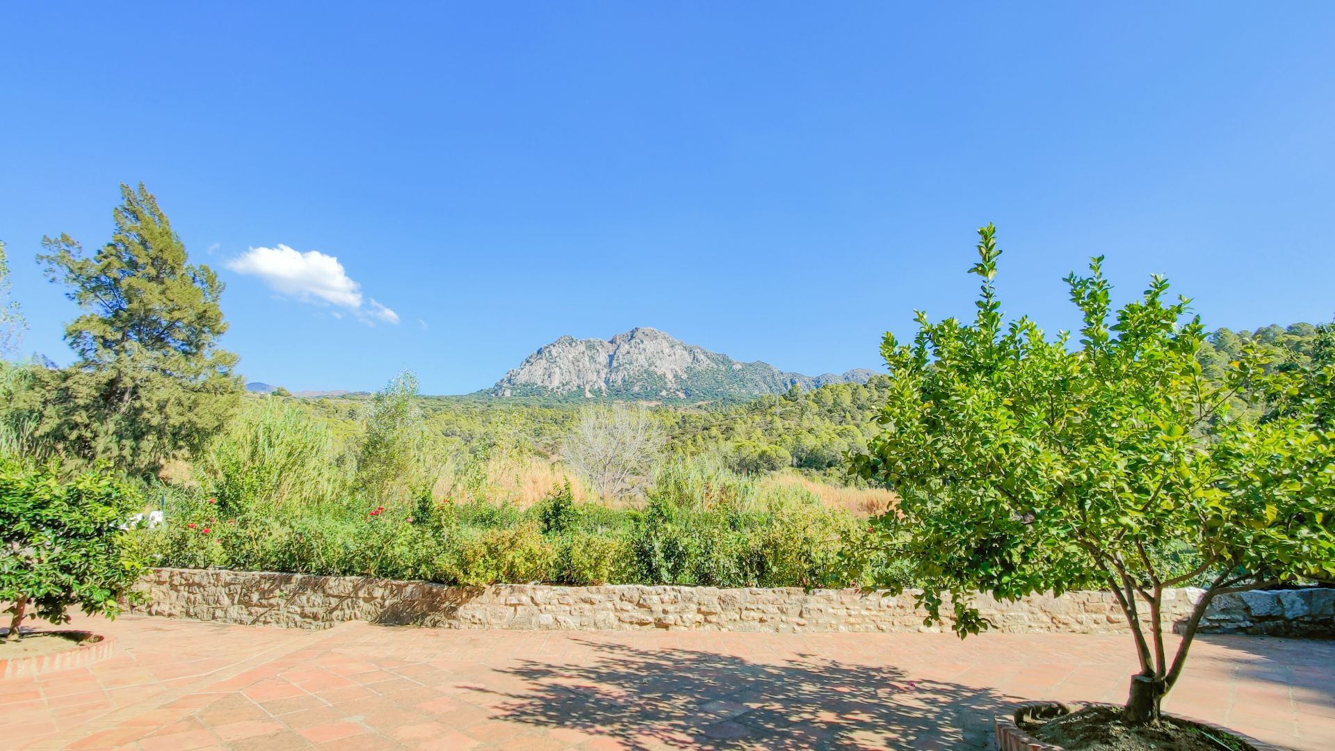 Finca de 9 Dormitorios y 7 Baños en venta en Gaucín
