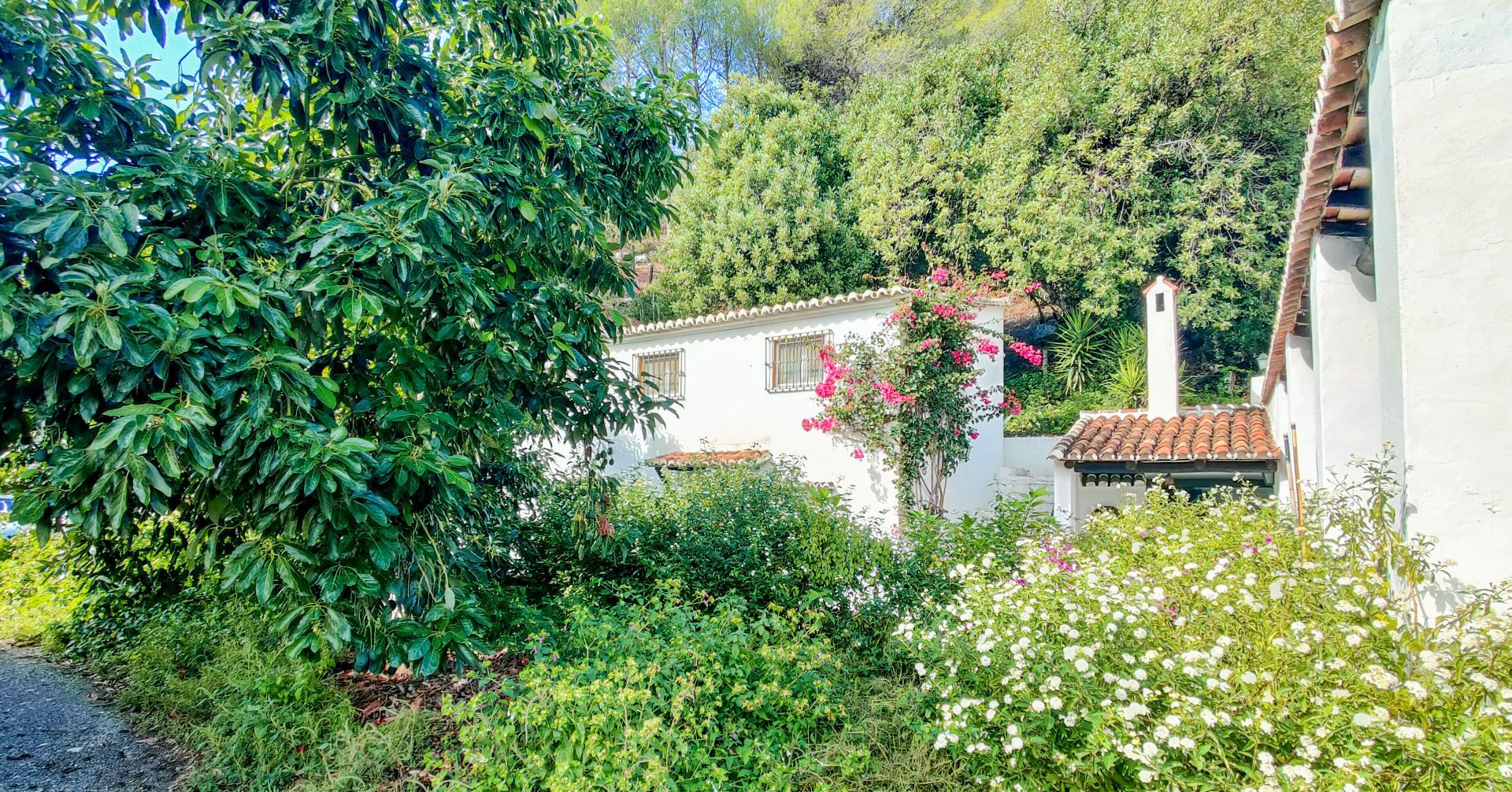 Finca de 9 Dormitorios y 7 Baños en venta en Gaucín