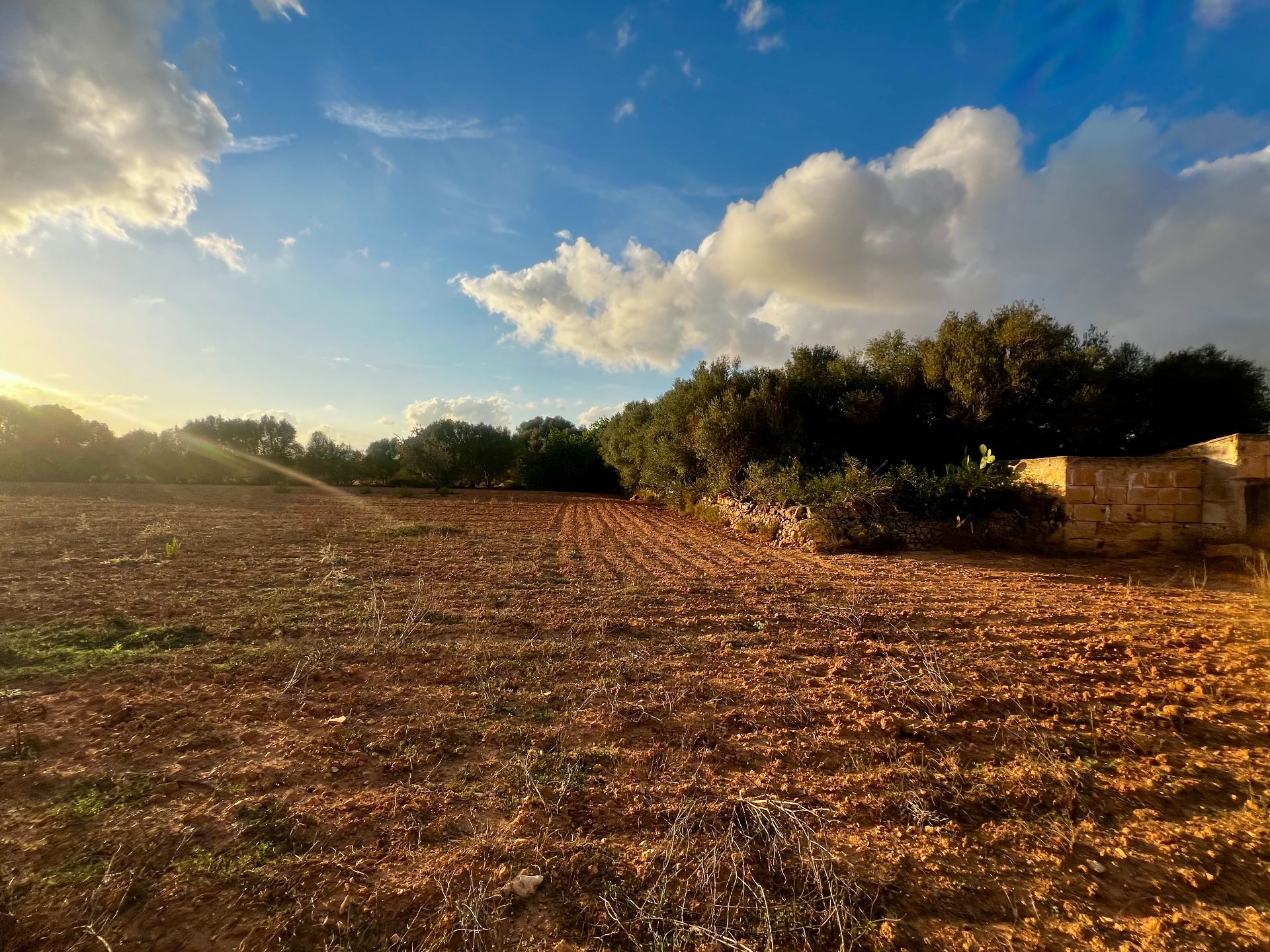 Terreno en venta en Felanitx