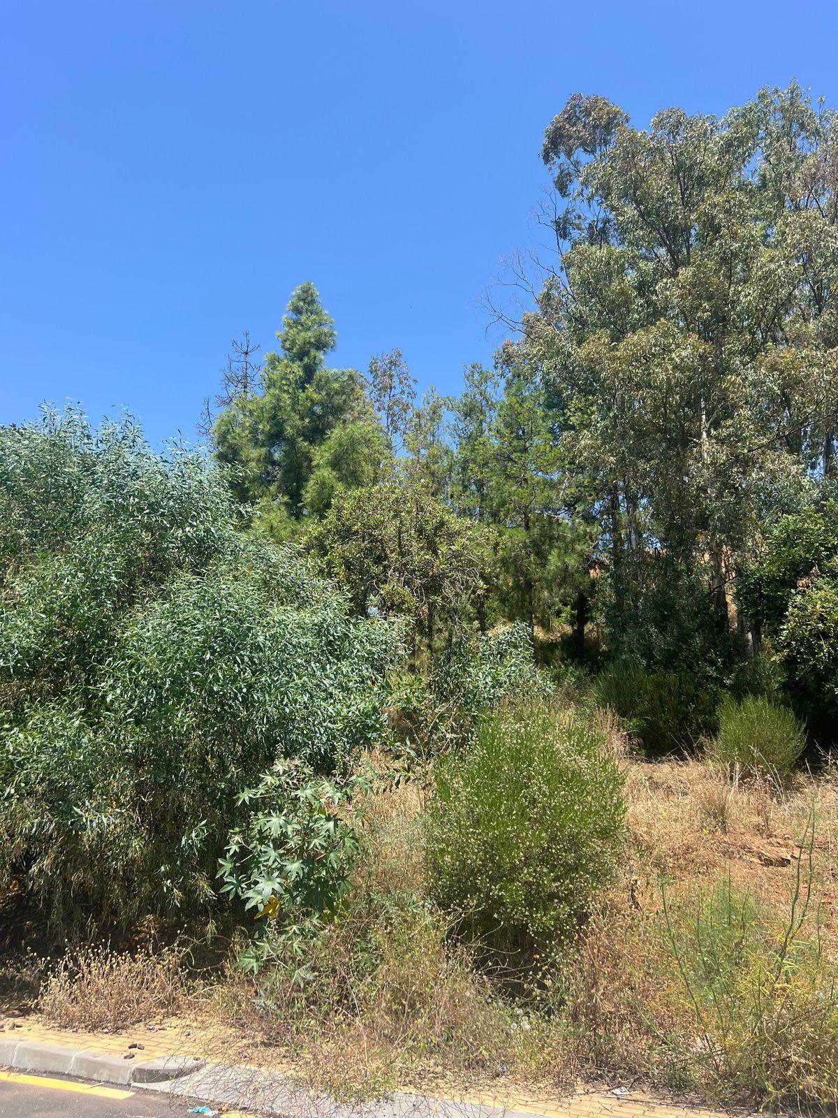 Terreno en venta en Estepona