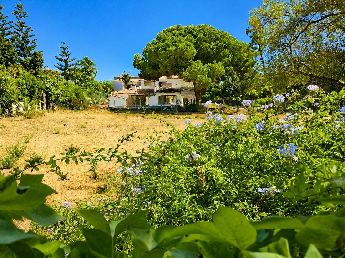 Terreno en venta en San Pedro de Alcántara