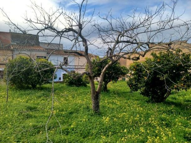 Terreno en venta en Felanitx