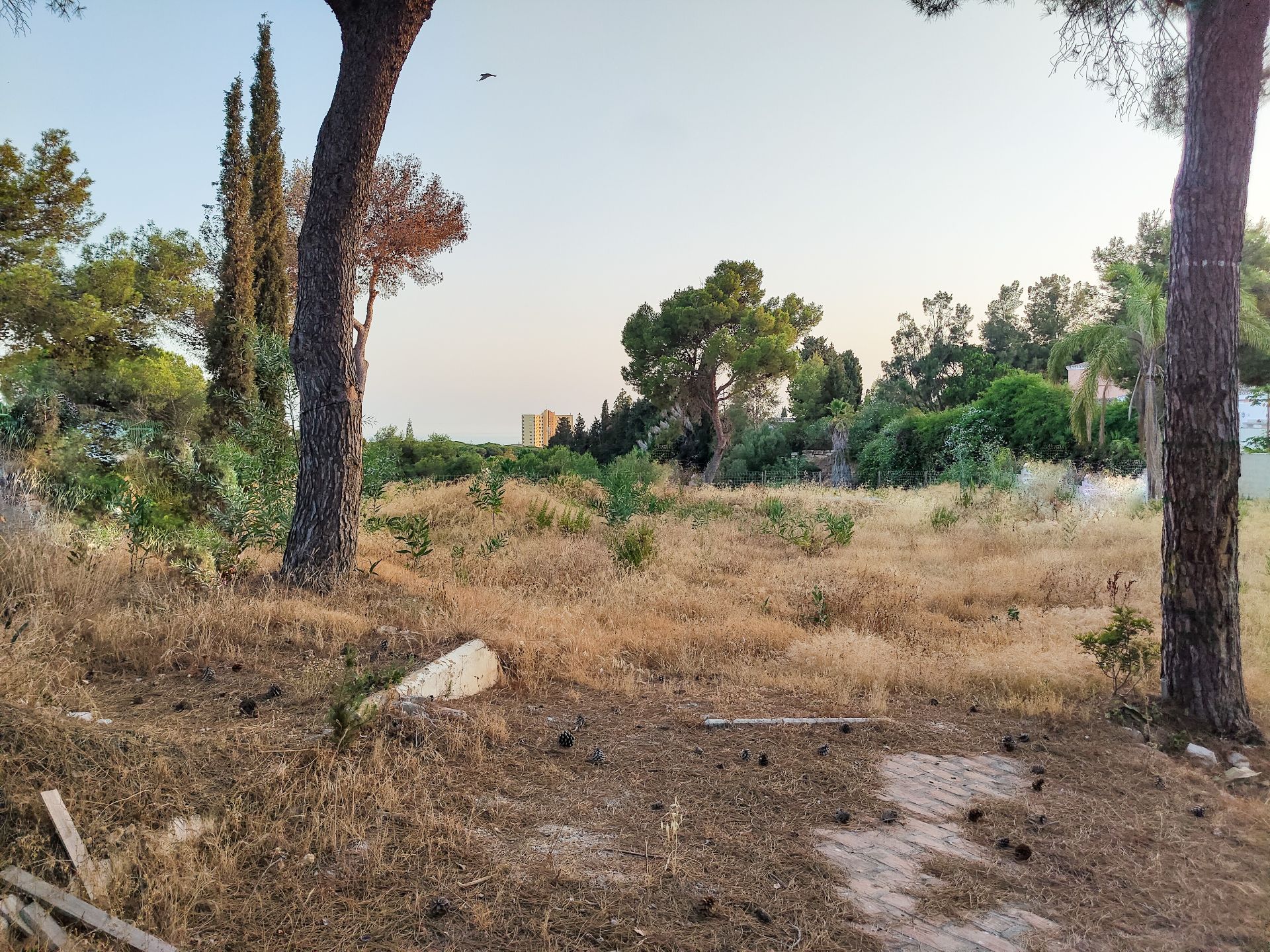 Terreno en venta en Las Chapas, Marbella