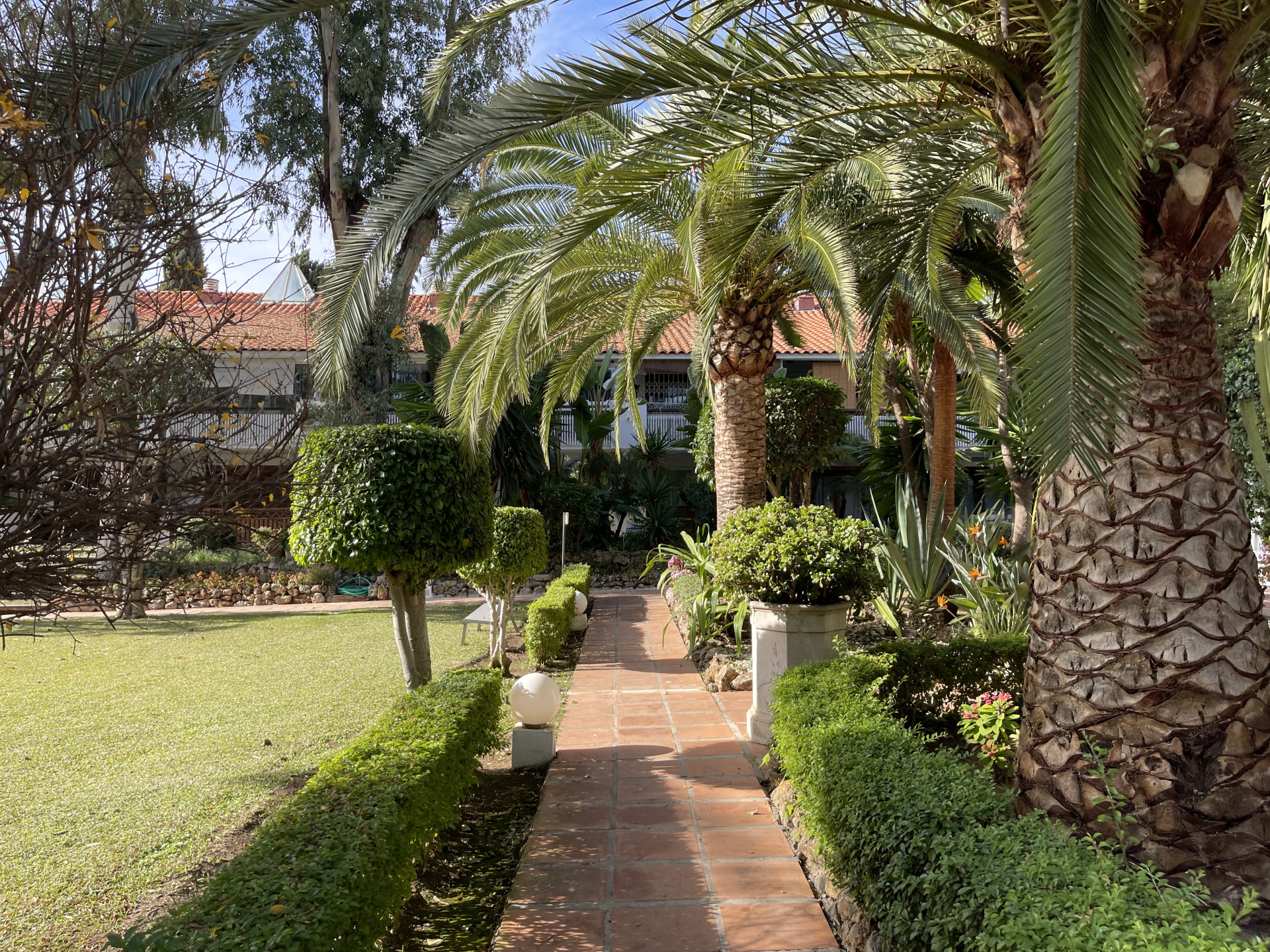 Estudio en venta en Nueva Andalucía, Marbella