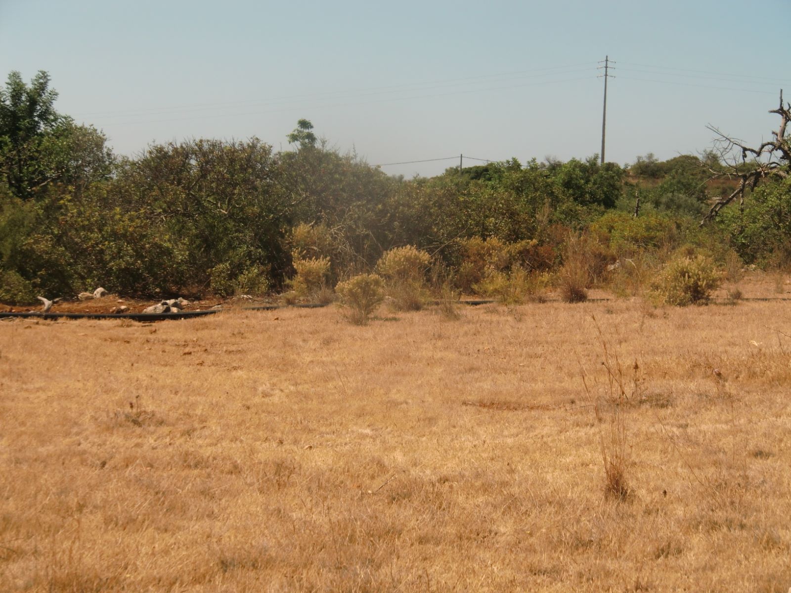 Terreno en venta en Faro