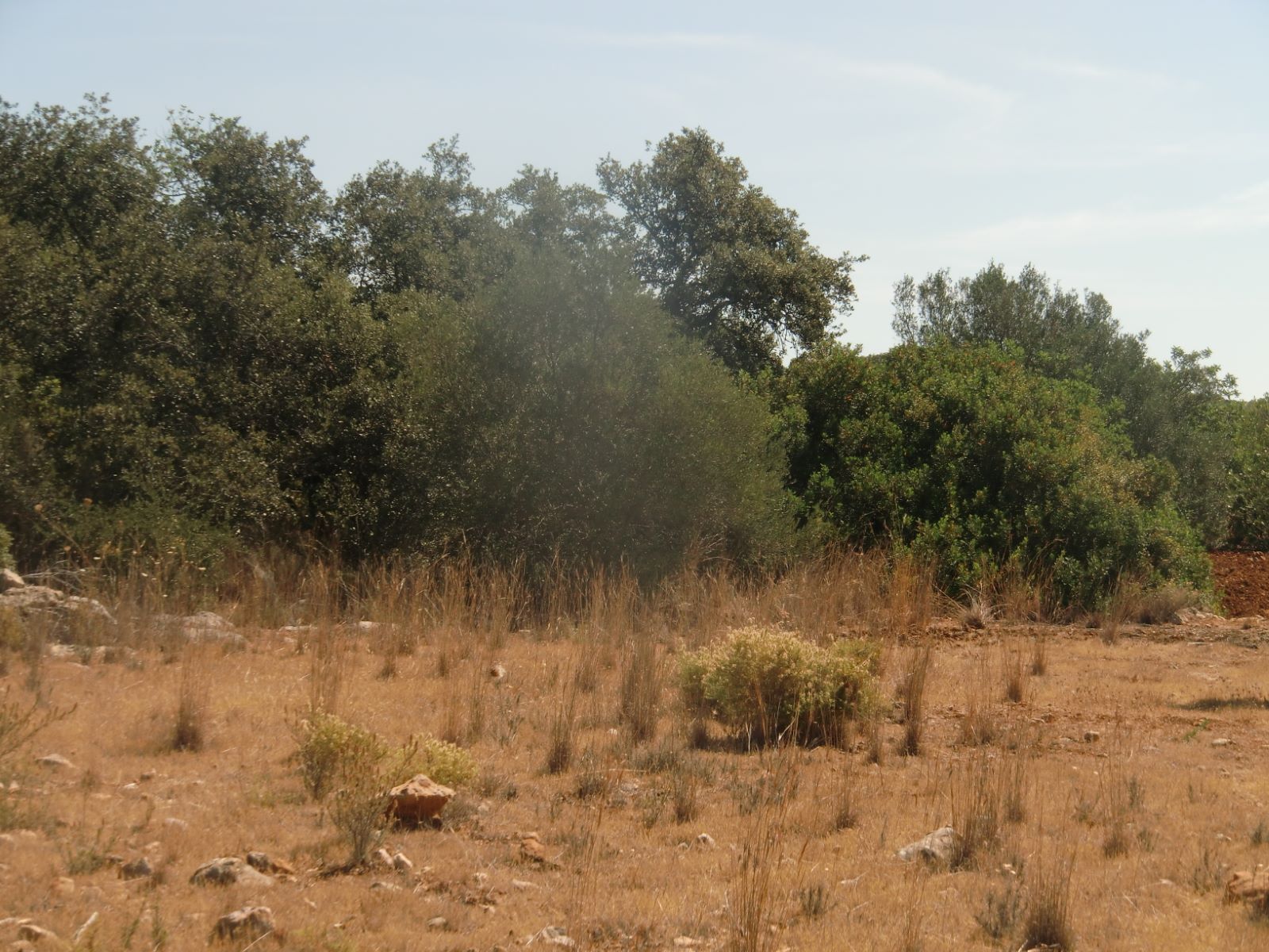 Terreno en venta en Faro