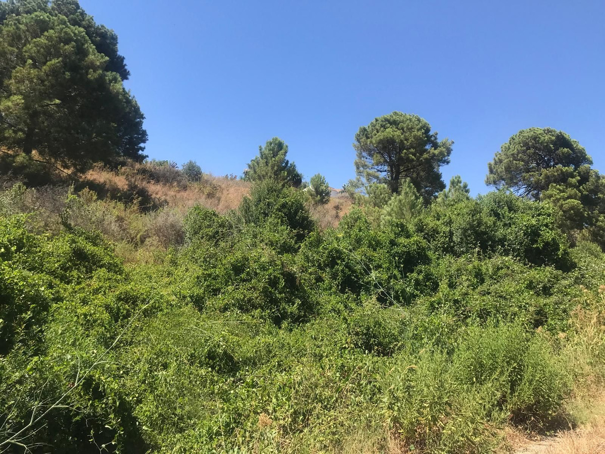 Terreno en venta en Estepona
