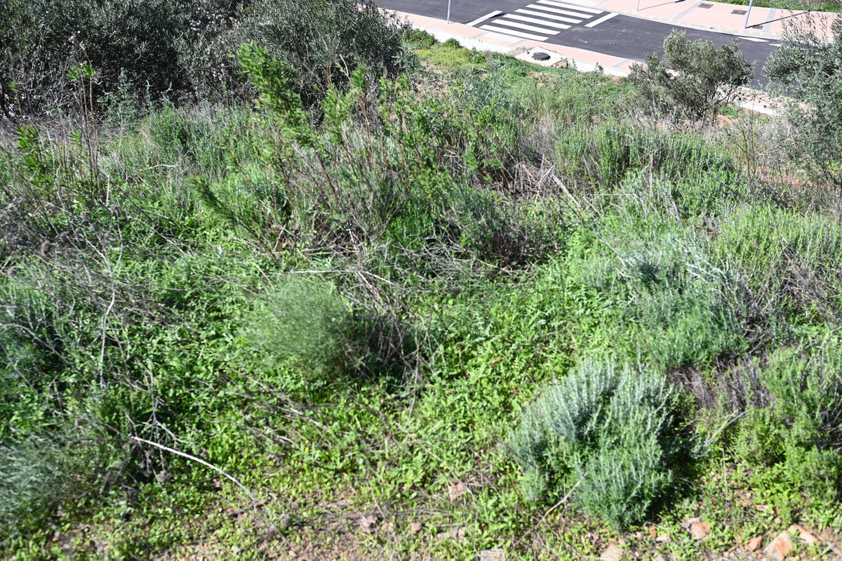 Terreno en venta en Mijas Golf